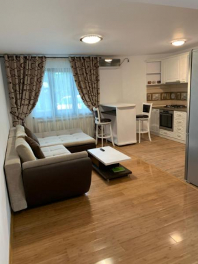 Apartament Micsunelelor